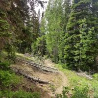 Cottonwood Campground ico