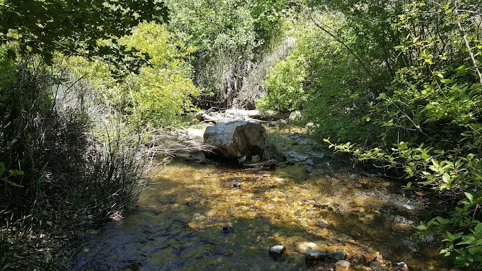 Cottonwood Campground Picture 6