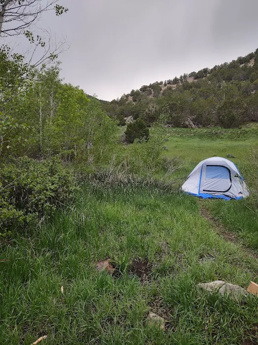 Cottonwood Campground Picture 3