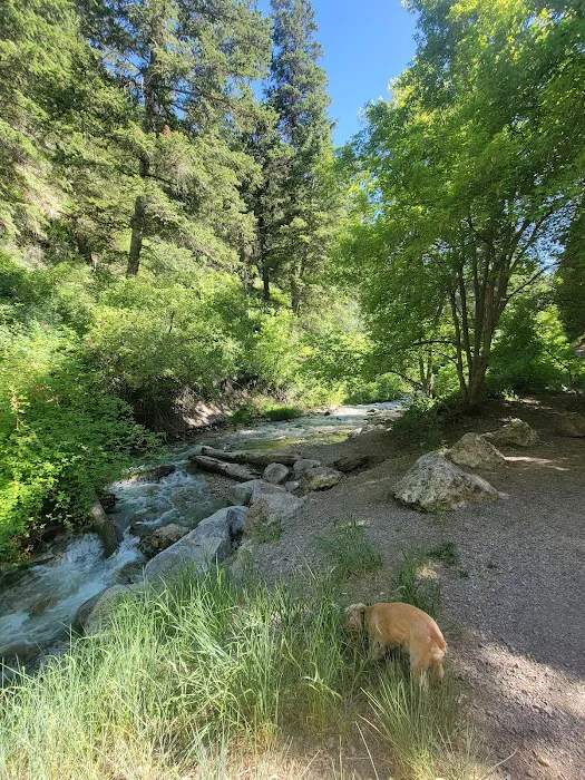 Intake Campground Picture 1