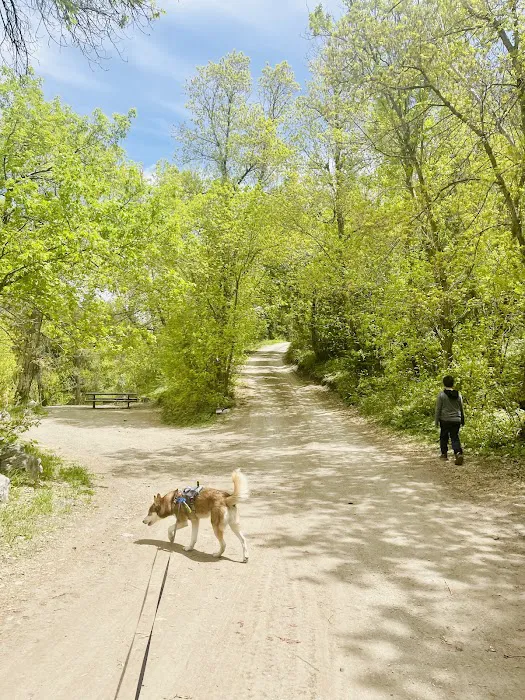 Intake Campground Picture 10