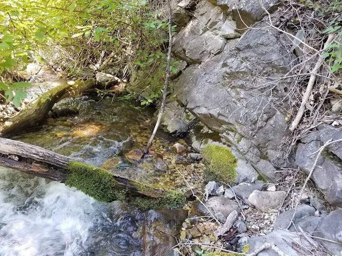 Intake Campground Picture 9