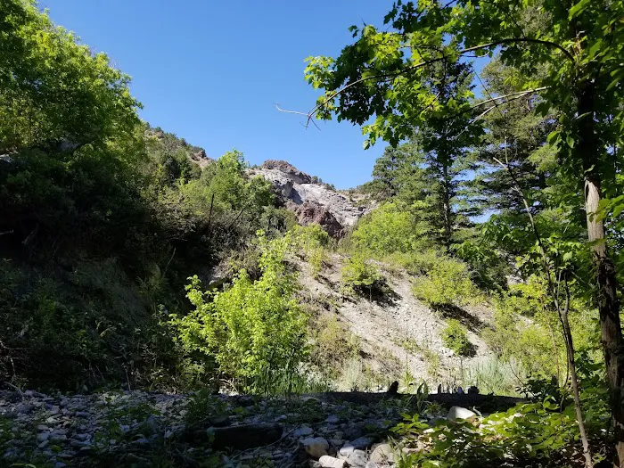 Intake Campground Picture 7