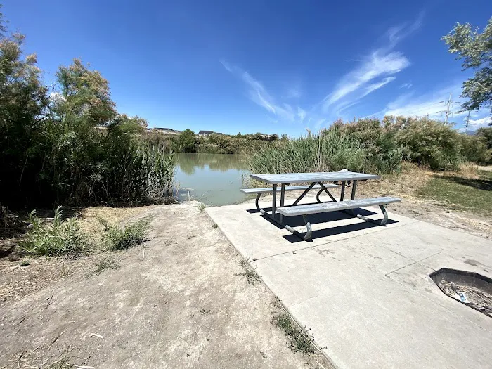 Willow Park Picture 7