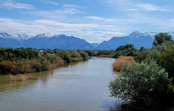 Willow Park Picture 1