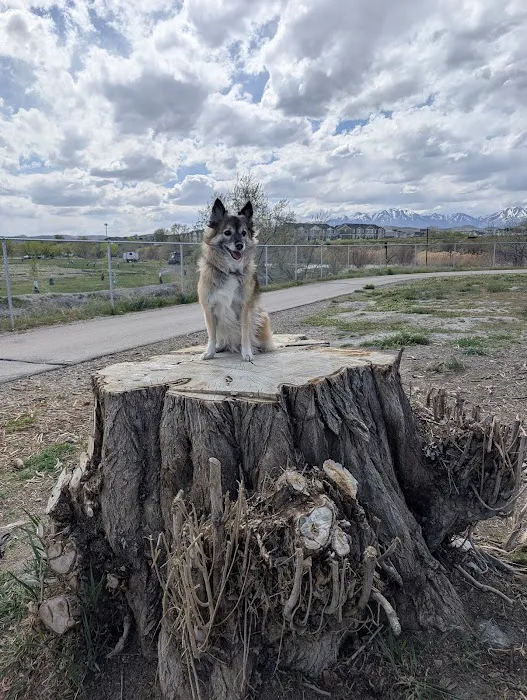 Willow Park Picture 6