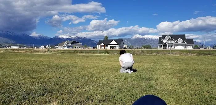 Willow Park Picture 2