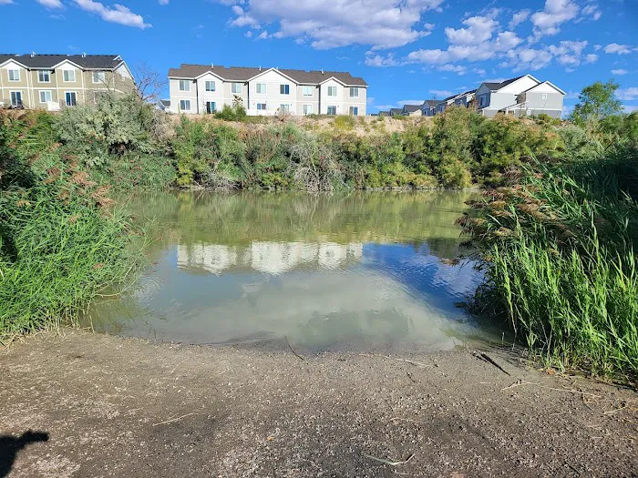 Willow Park Picture 3