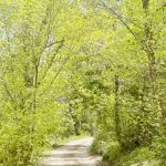 BOY SCOUT (recgovnpsdata)