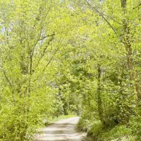 BOY SCOUT (recgovnpsdata) ico