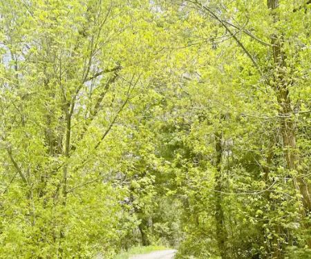 BOY SCOUT (recgovnpsdata)