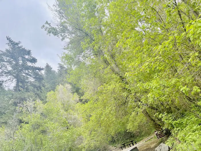 BOY SCOUT (recgovnpsdata) Picture 7