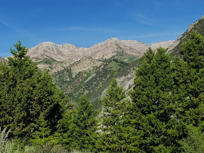 BOY SCOUT (recgovnpsdata) Picture 10