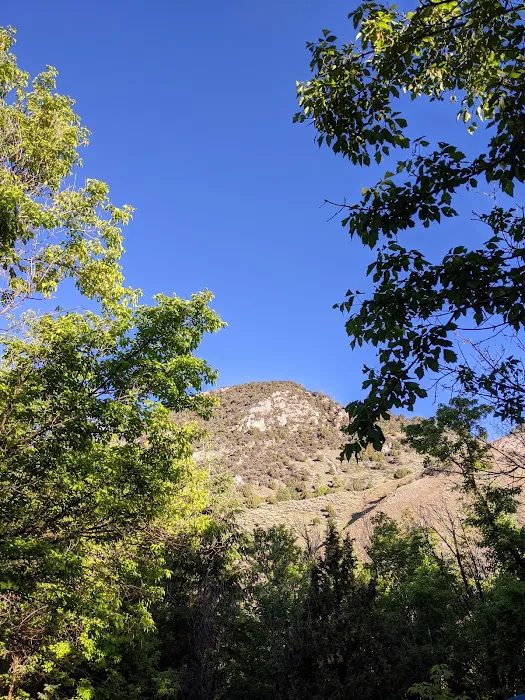 BOY SCOUT (recgovnpsdata) Picture 6