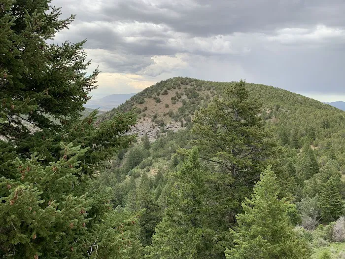 BOY SCOUT (recgovnpsdata) Picture 9