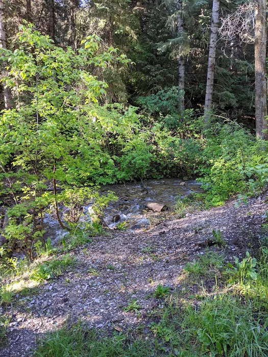 BOY SCOUT (recgovnpsdata) Picture 5