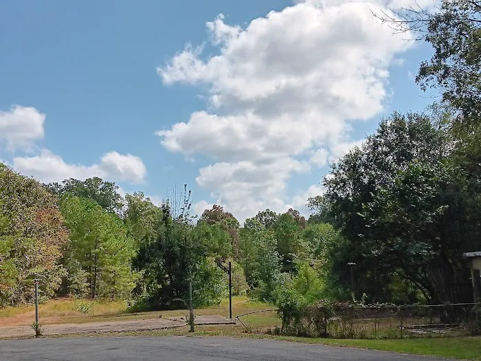 Swan Lake Mobile Home Community Picture 4