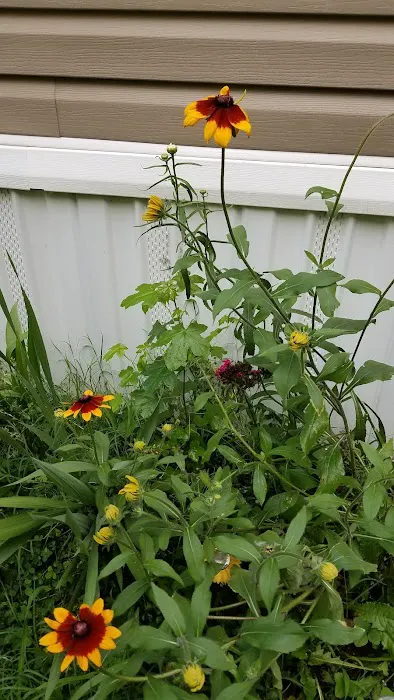 Swan Lake Mobile Home Community Picture 1