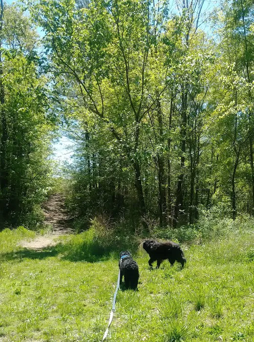 Swan Lake Mobile Home Community Picture 8