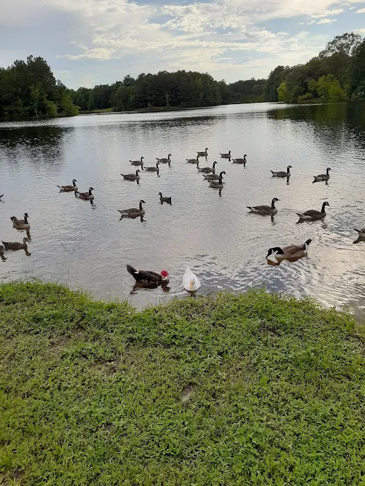 Swan Lake Mobile Home Community Picture 2