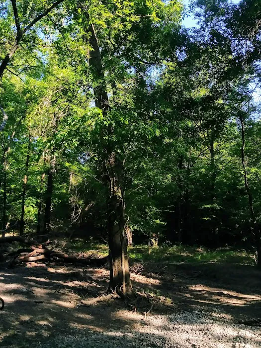 Swan Lake Mobile Home Community Picture 10