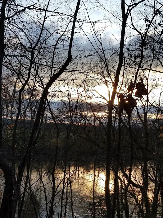 Swan Lake Mobile Home Community Picture 9