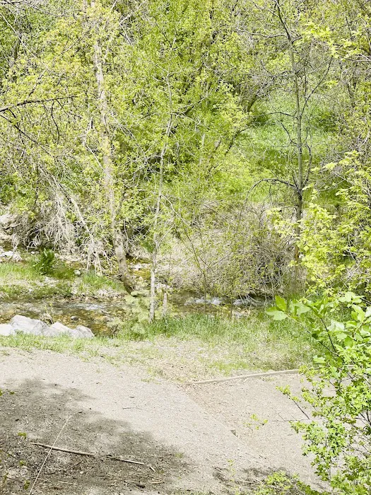 Boy Scout Campground Picture 1