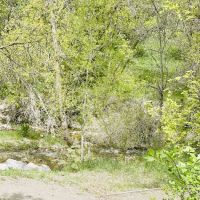 Boy Scout Campground ico