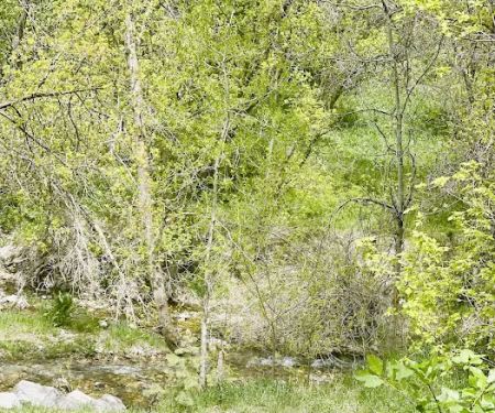 Boy Scout Campground