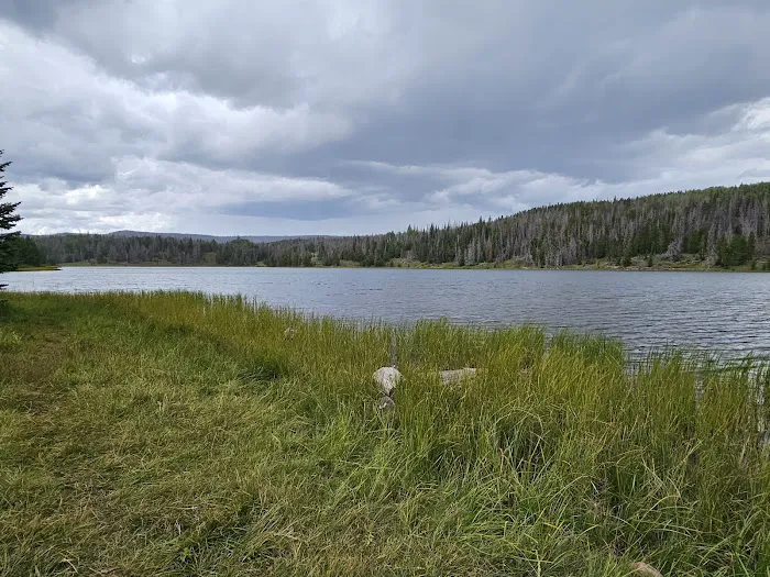 Boy Scout Campground Picture 8