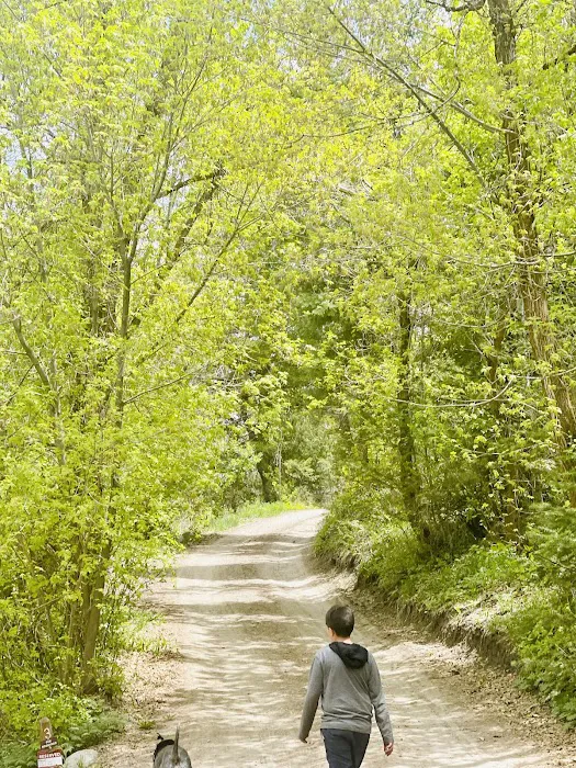 Boy Scout Campground Picture 2