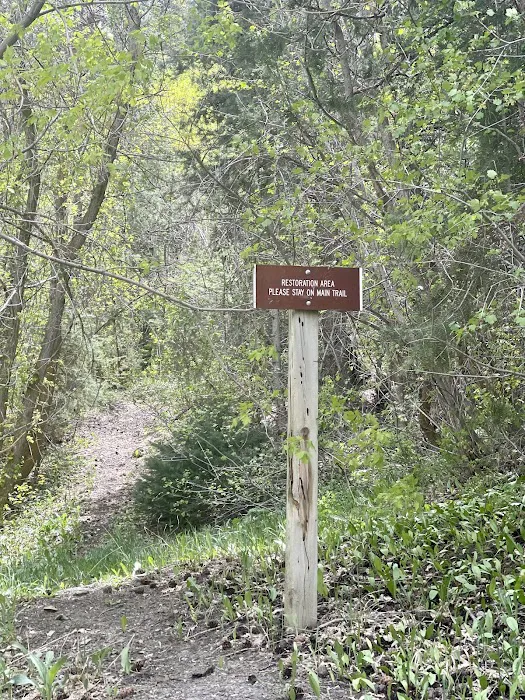 Boy Scout Campground Picture 3