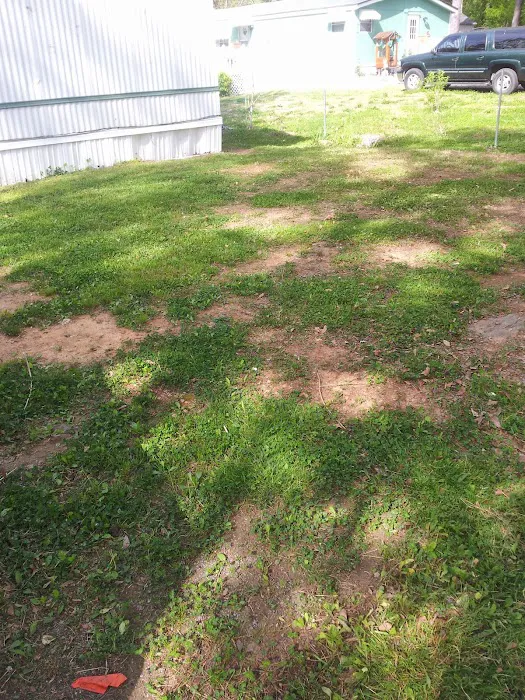 Top Side Mobile Homes-W Rome Picture 1