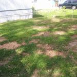 Top Side Mobile Homes-W Rome