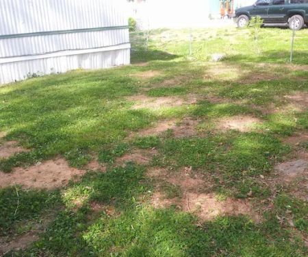 Top Side Mobile Homes-W Rome