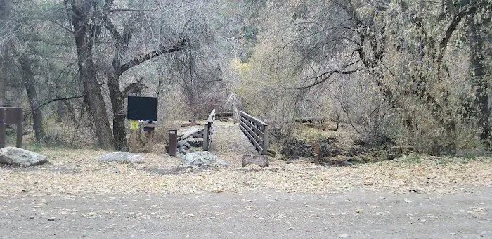 Lower Narrows Campground Picture 1