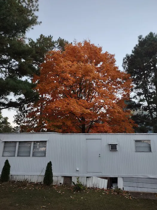 Dutch Gardens Mhp Picture 1