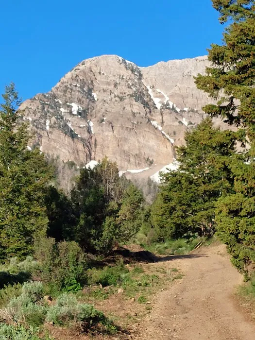 North Willow Campground Picture 4