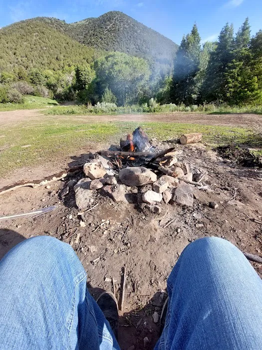 North Willow Campground Picture 3