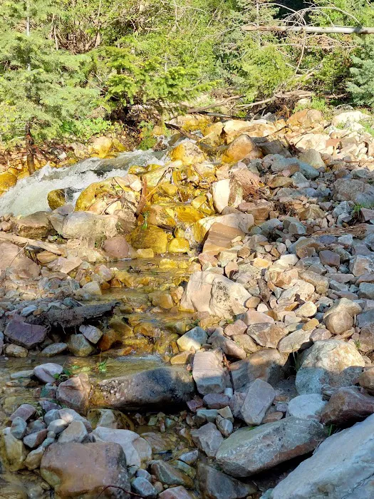 North Willow Campground Picture 10