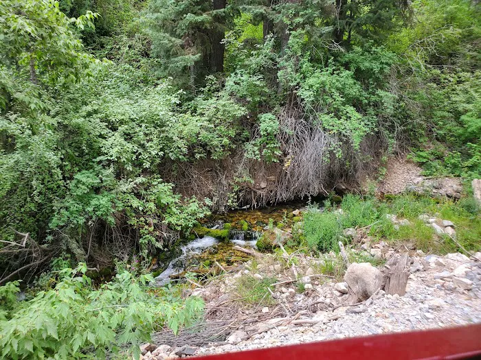 Upper Narrows Campground Picture 5