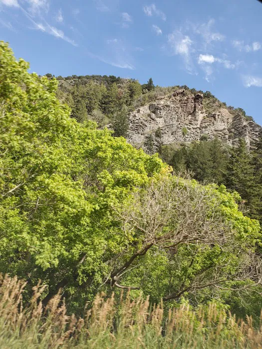 Upper Narrows Campground Picture 3