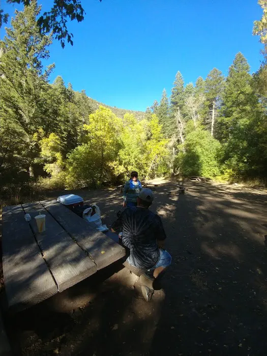 Upper Narrows Campground Picture 9