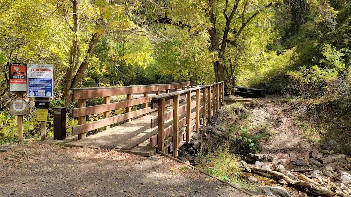 Upper Narrows Campground Picture 4