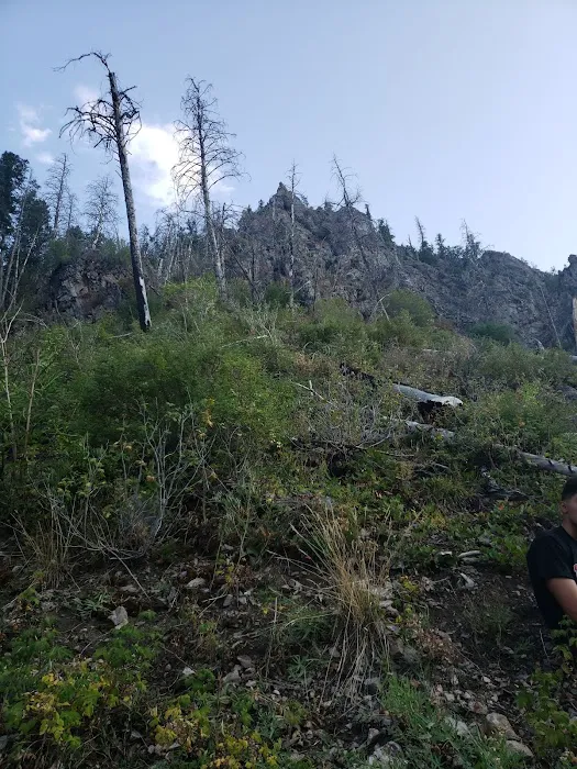 Upper Narrows Campground Picture 7