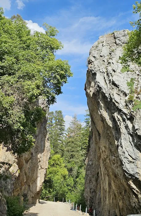 Upper Narrows Campground Picture 6