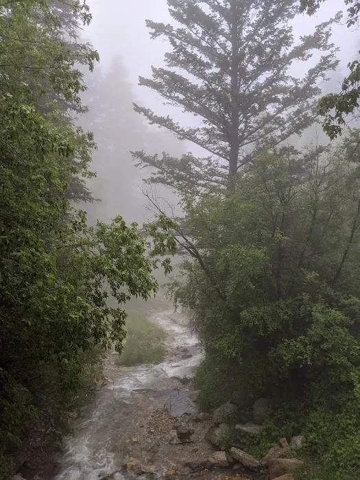 Upper Narrows Campground Picture 10