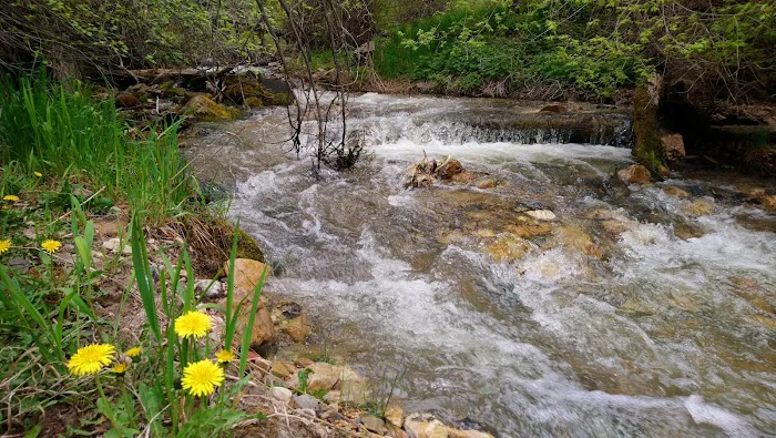 Upper Narrows Campground Picture 8