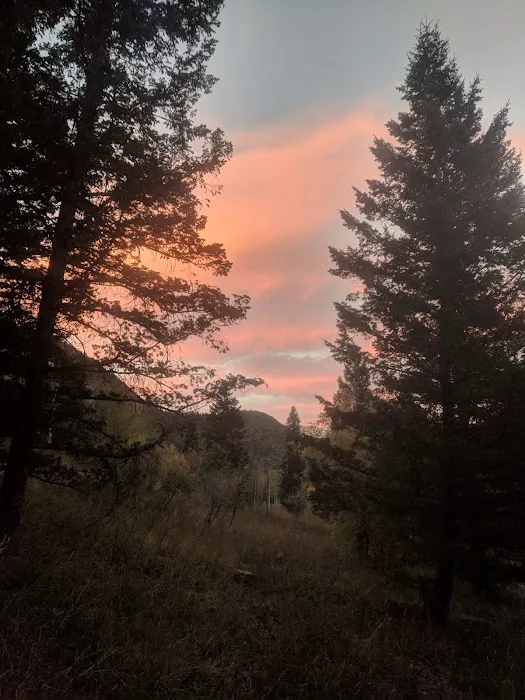 Loop Campground Picture 3