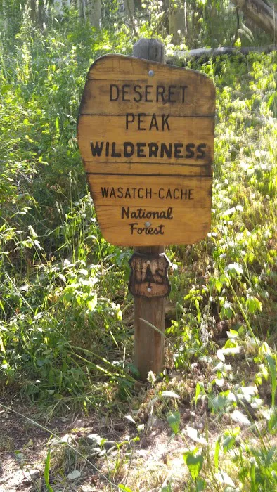 Loop Campground Picture 6